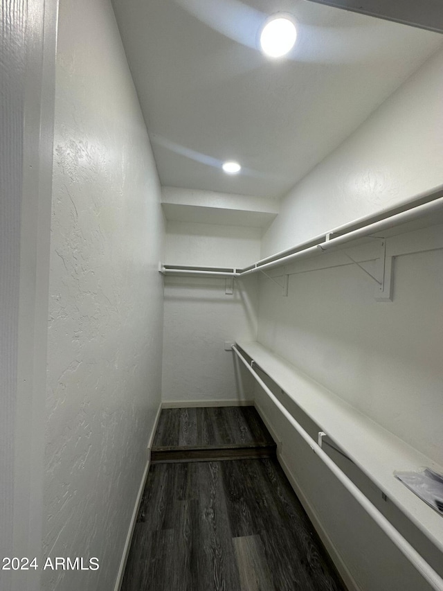 walk in closet featuring dark hardwood / wood-style floors