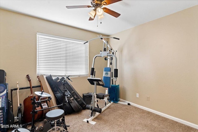 exercise room featuring carpet flooring