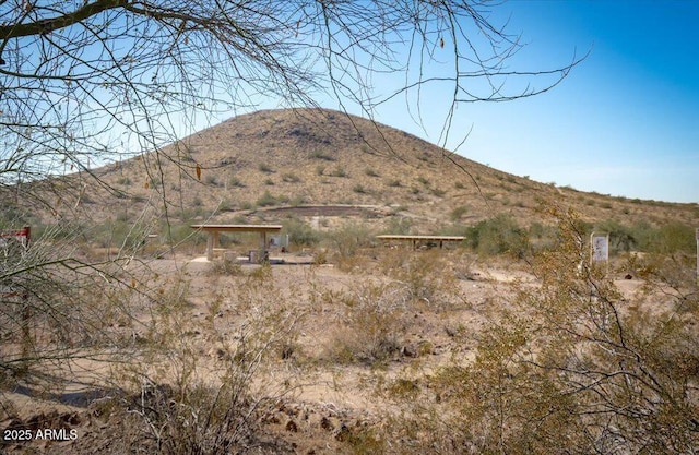 view of mountain feature