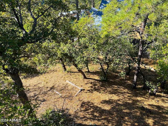 view of landscape featuring a wooded view