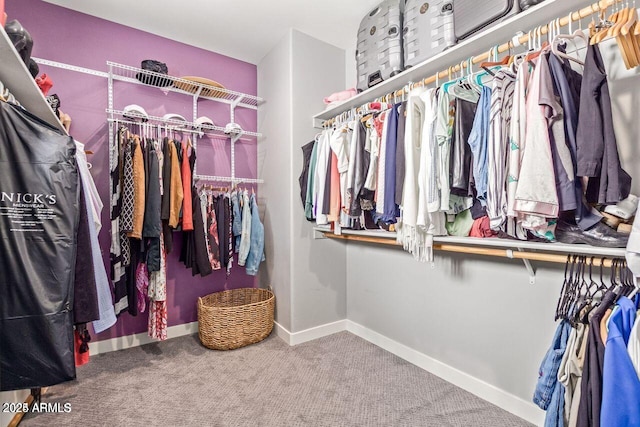 walk in closet with carpet floors