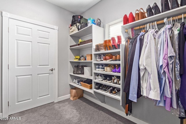 walk in closet with carpet floors