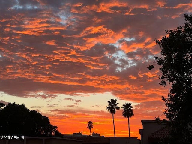 view of nature at dusk