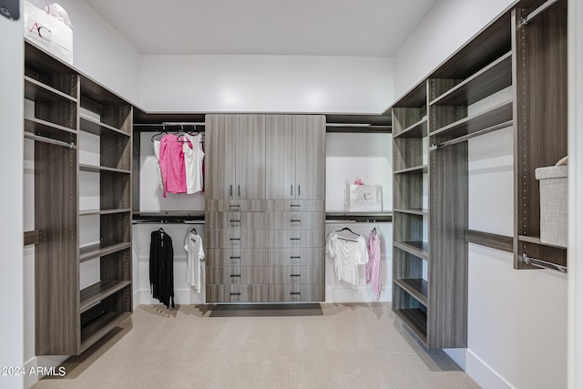 view of spacious closet