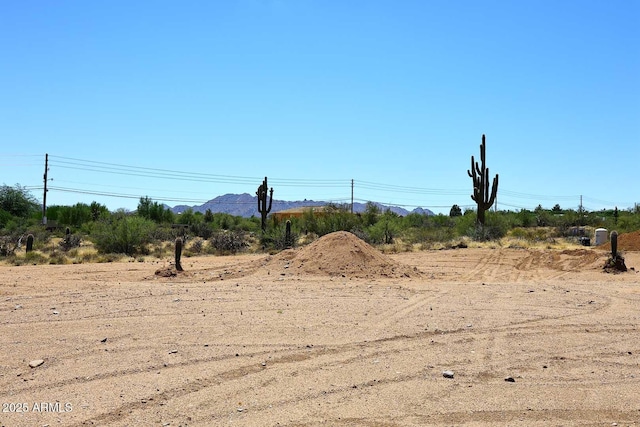 28282 N 158th St, Scottsdale, AZ 85262 - view of yard