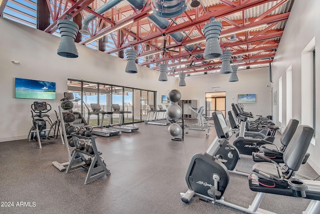 gym featuring a high ceiling