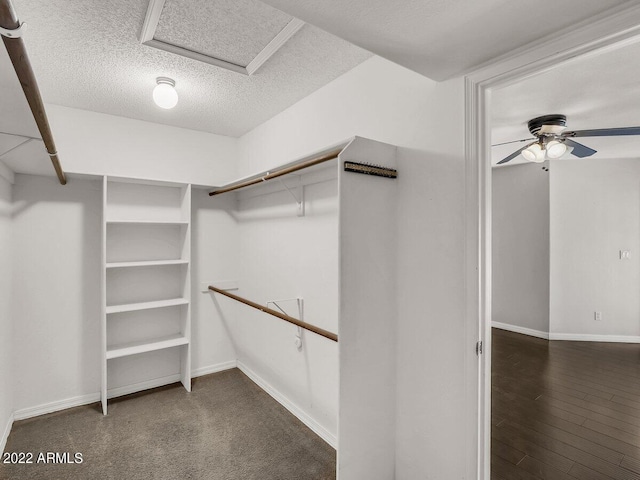 spacious closet featuring dark hardwood / wood-style flooring and ceiling fan