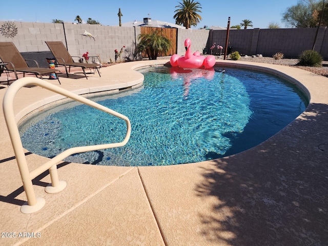 view of swimming pool featuring a patio area