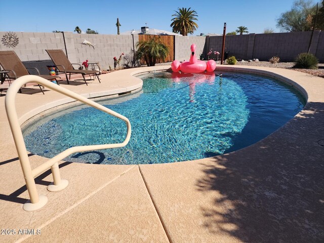 view of pool with a patio area