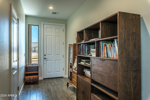 interior space featuring dark hardwood / wood-style floors and a healthy amount of sunlight