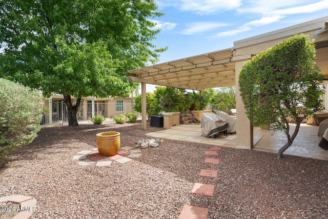 view of yard featuring a patio and a pergola