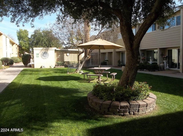 view of yard with a patio