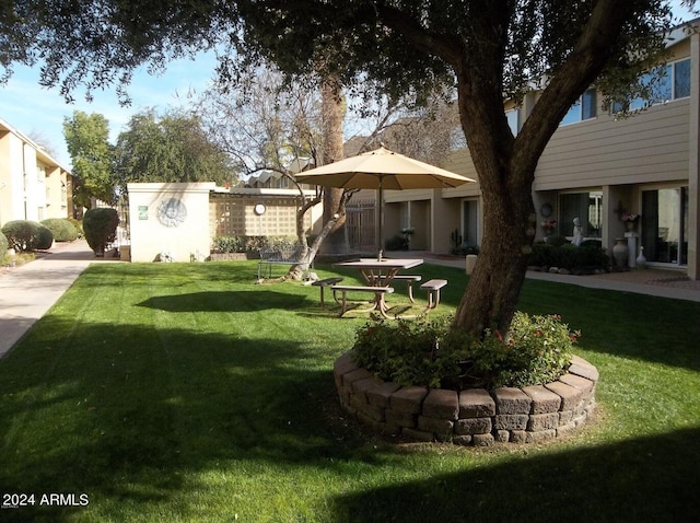 view of yard