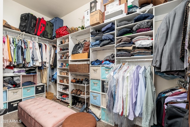 spacious closet with carpet floors