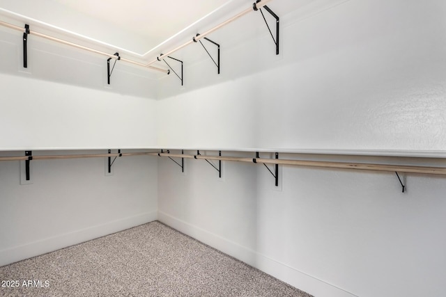 walk in closet featuring carpet