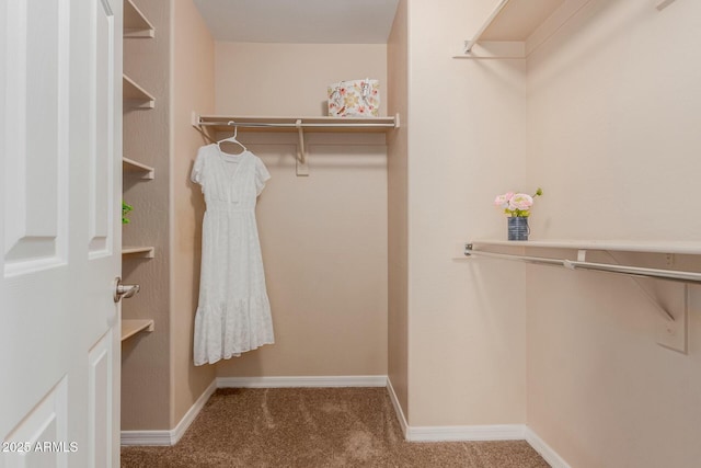 walk in closet with carpet