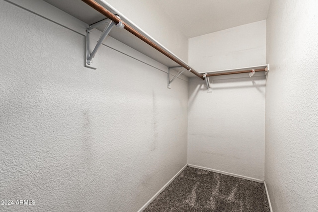 spacious closet featuring dark colored carpet