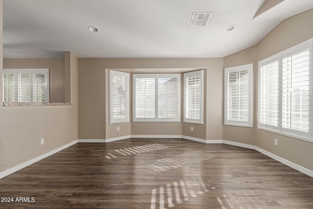 empty room with dark hardwood / wood-style flooring and a wealth of natural light