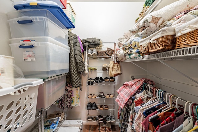 view of walk in closet