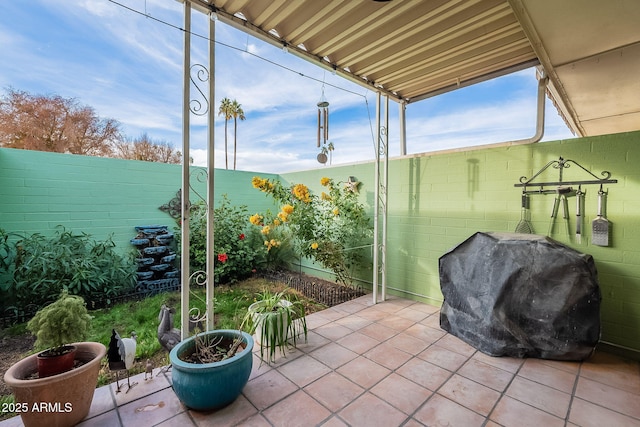 view of patio / terrace with area for grilling