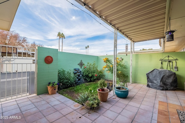 view of patio / terrace featuring grilling area