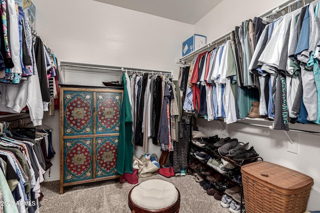 spacious closet featuring carpet floors