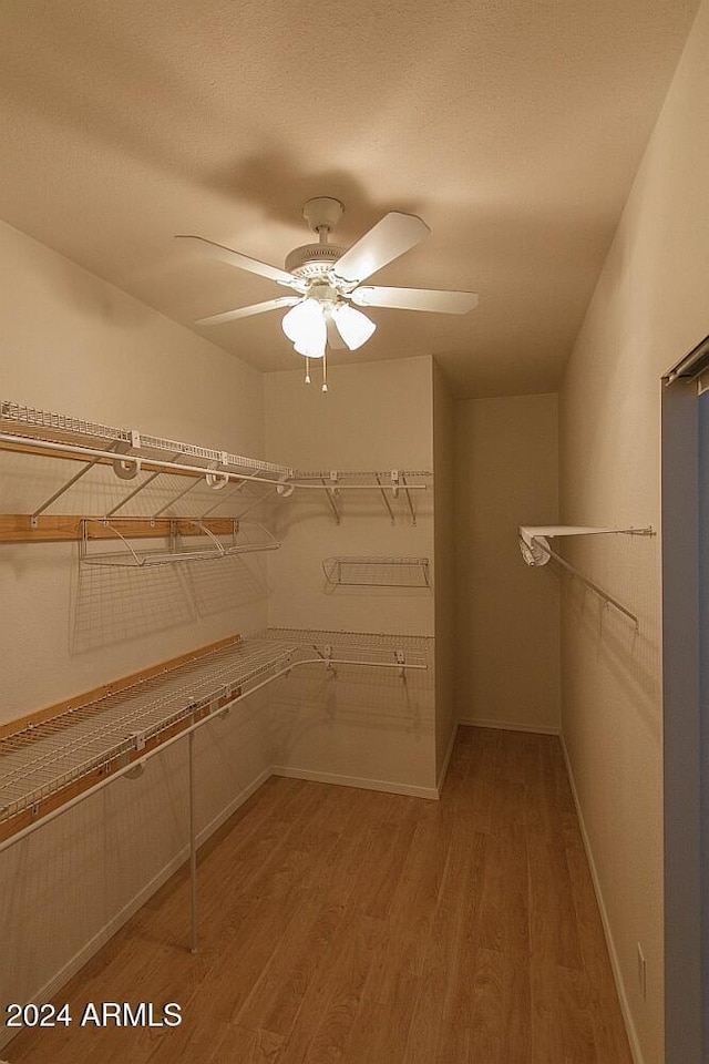 walk in closet with ceiling fan and hardwood / wood-style flooring