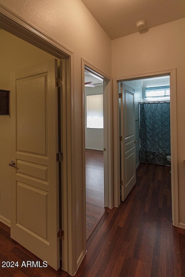 hallway featuring dark hardwood / wood-style flooring