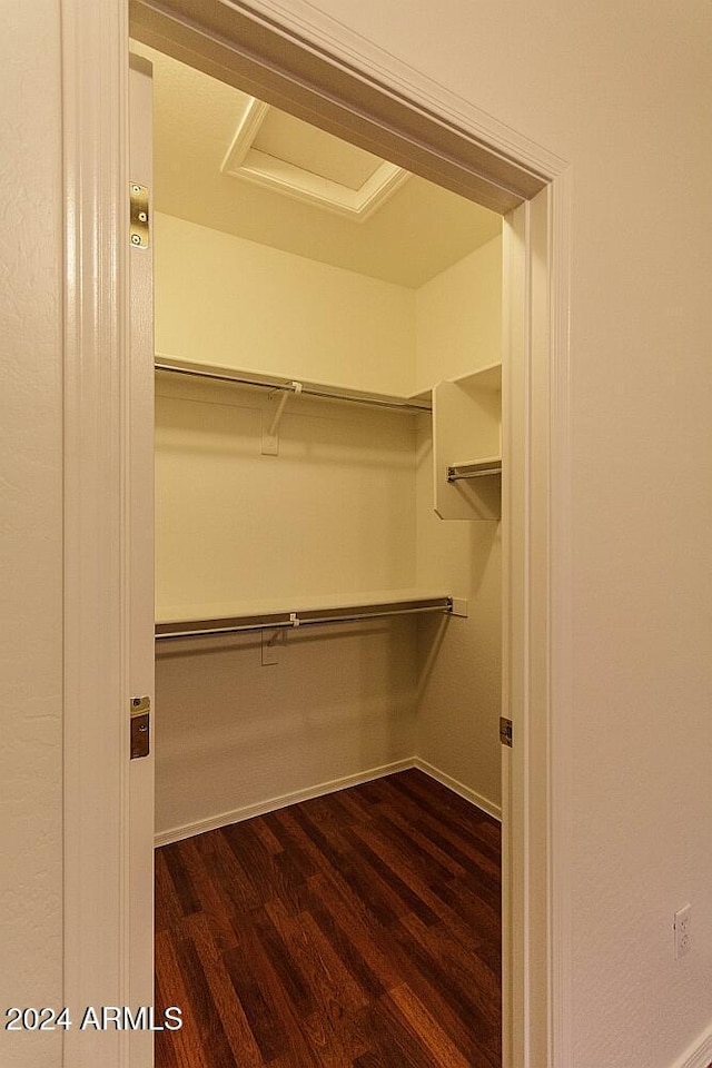 walk in closet with dark hardwood / wood-style flooring