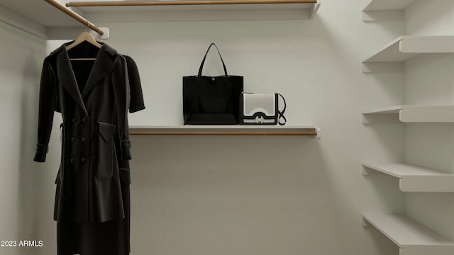 view of walk in closet