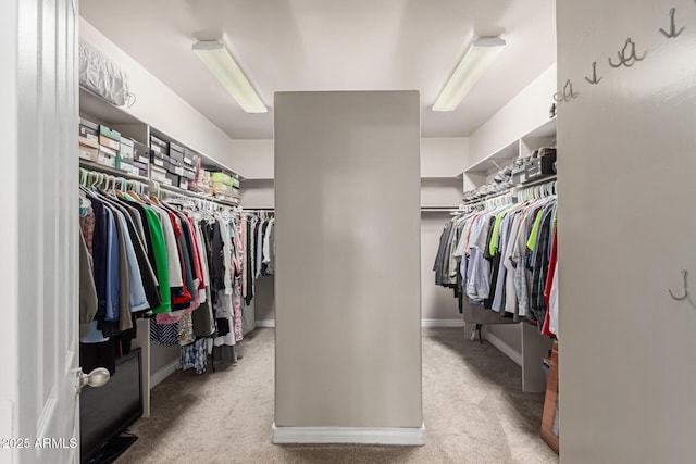 3733 E Kachina Dr, Phoenix, AZ 85044 - spacious closet featuring carpet floors