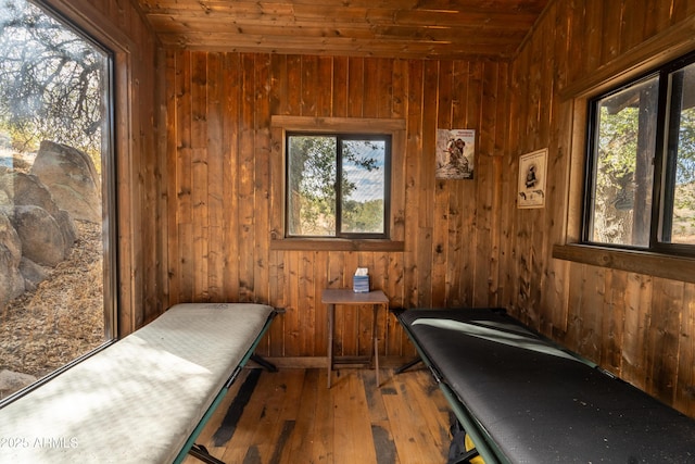 51238 N Pinal Ranch Rd, Miami, AZ 85539 - bedroom featuring a sauna, wood walls, wooden ceiling, and wood-type flooring