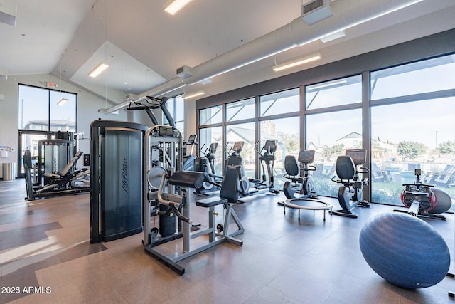 613 W Winchester Dr, Chandler, AZ 85286 - exercise room featuring floor to ceiling windows and a high ceiling