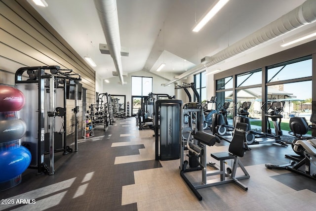 613 W Winchester Dr, Chandler, AZ 85286 - gym with vaulted ceiling