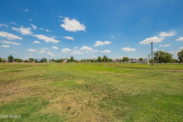 2318 N 87th Ave, Phoenix, AZ 85037 - view of green lawn