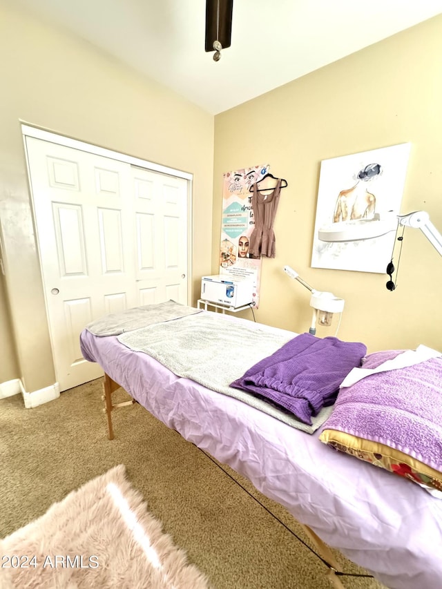 carpeted bedroom featuring a closet