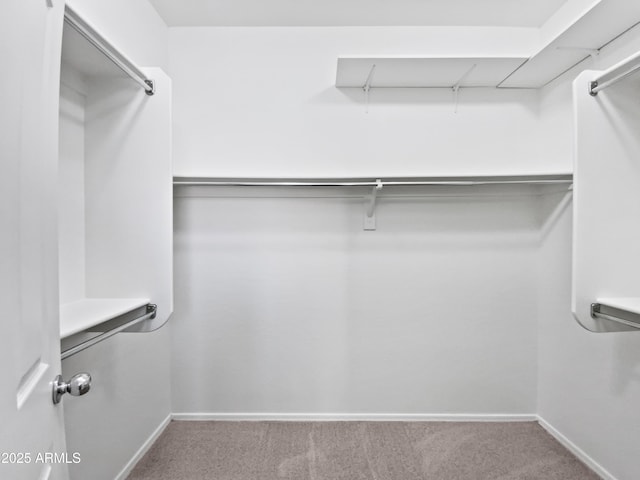 spacious closet featuring carpet