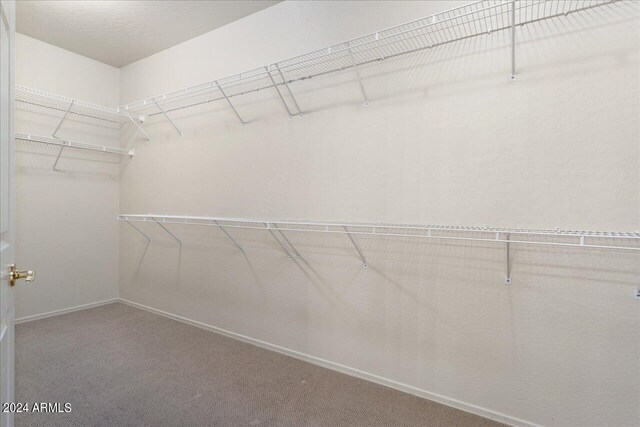 spacious closet featuring carpet flooring