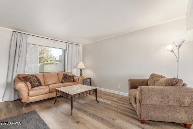 living room featuring wood-type flooring