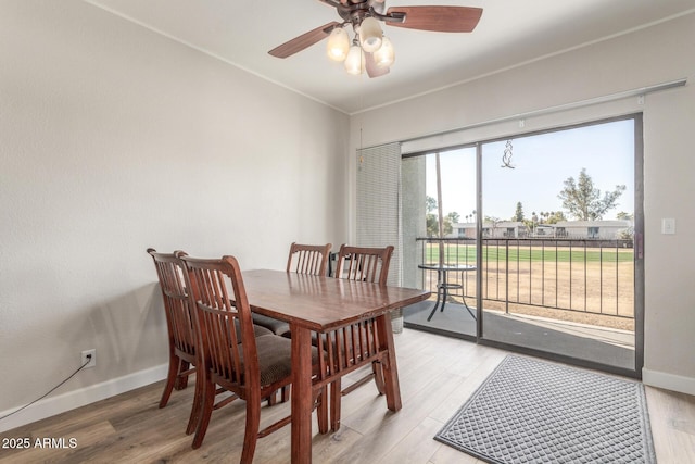 dining room with ceiling fan and hardwood / wood-style flooring