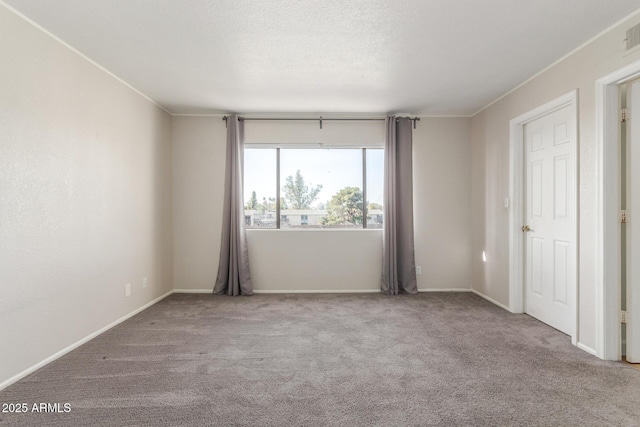 spare room featuring light carpet