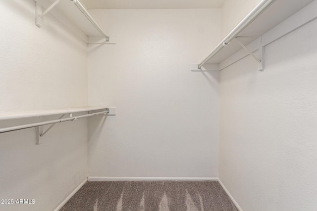 walk in closet featuring dark carpet