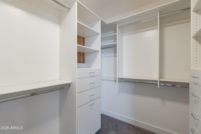 1062 N Robin Ln, Mesa, AZ 85213 - walk in closet with dark colored carpet