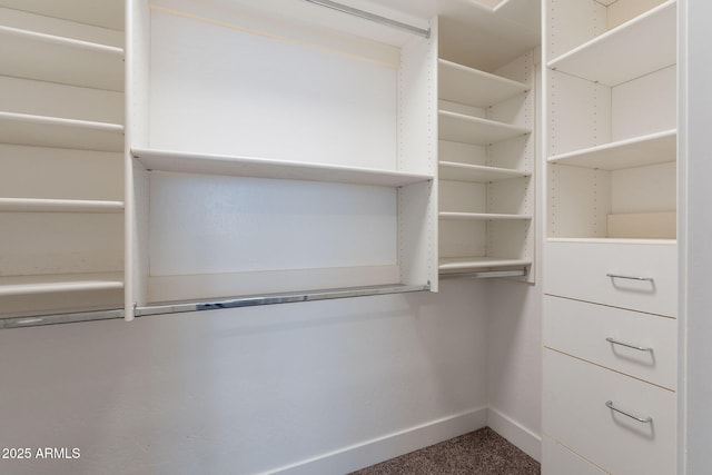 1062 N Robin Ln, Mesa, AZ 85213 - spacious closet with carpet flooring