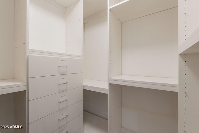 1062 N Robin Ln, Mesa, AZ 85213 - view of spacious closet