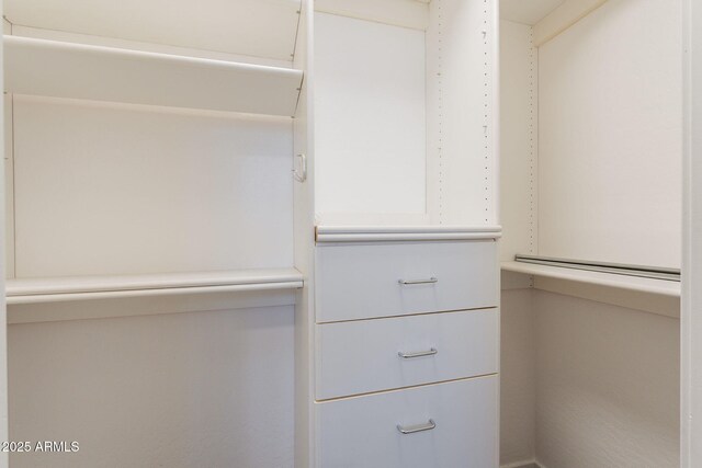 1062 N Robin Ln, Mesa, AZ 85213 - view of walk in closet