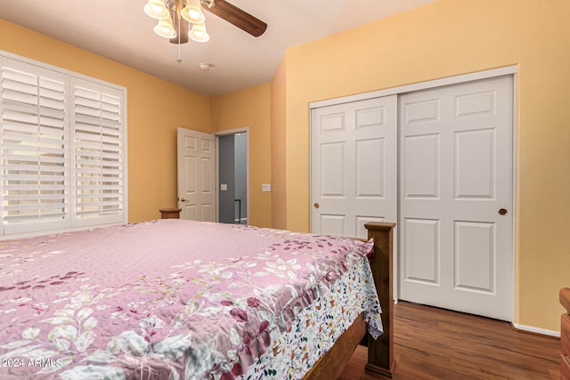 bedroom featuring ceiling fan, dark hardwood / wood-style floors, and a closet