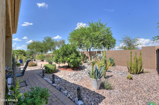 view of yard with a patio area and a fenced backyard