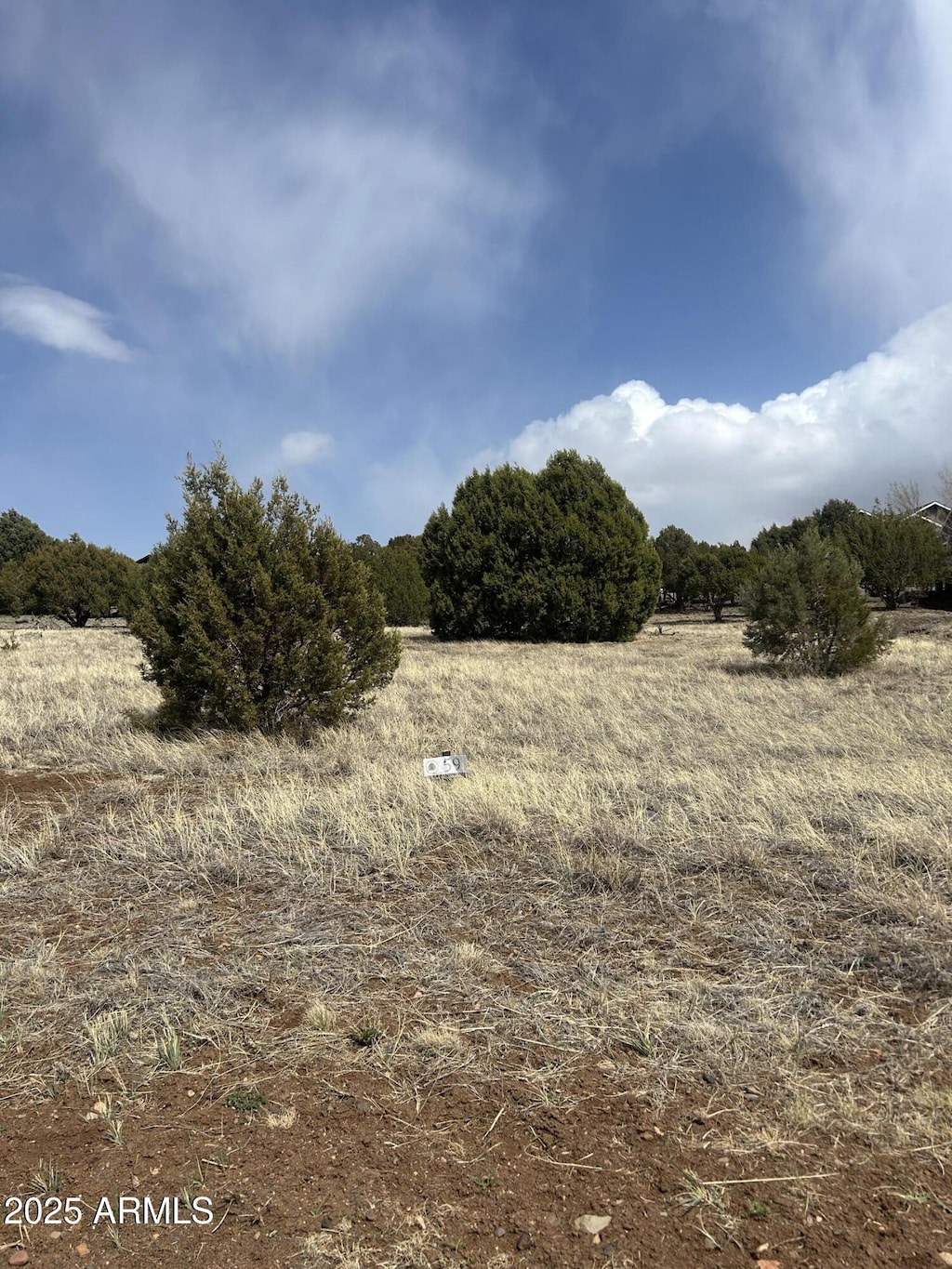 view of nature featuring rural landscape