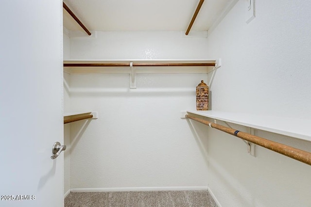 spacious closet with carpet flooring